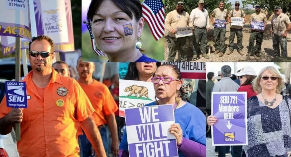 1691545339816179.png image.png